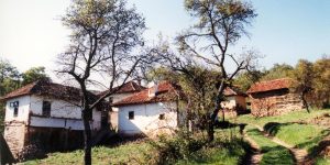 Poljana