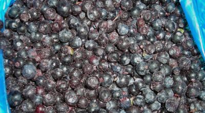 smrznuta-borovnica Zamrznuta borovnica