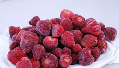 smrznuta-jagoda Zamrznuta jagoda