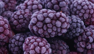 smrznuta-kupina Zamrznuta kupina