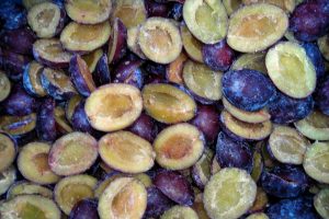 smrznuta-sljiva Zamrznuta šljiva